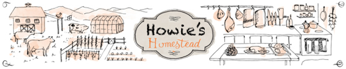 Howies Homestead - An Engineer's View of Homesteading and Getting off the Grid