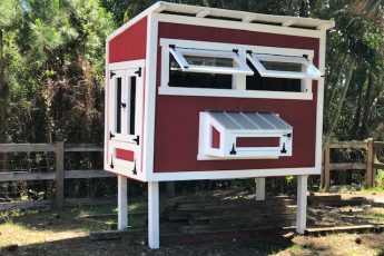 Hen House with WIndows and Nest Box