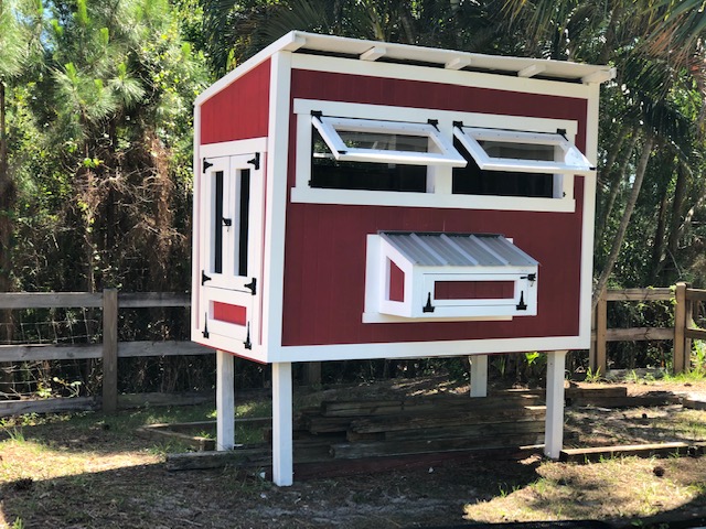 Hen House with WIndows and Nest Box