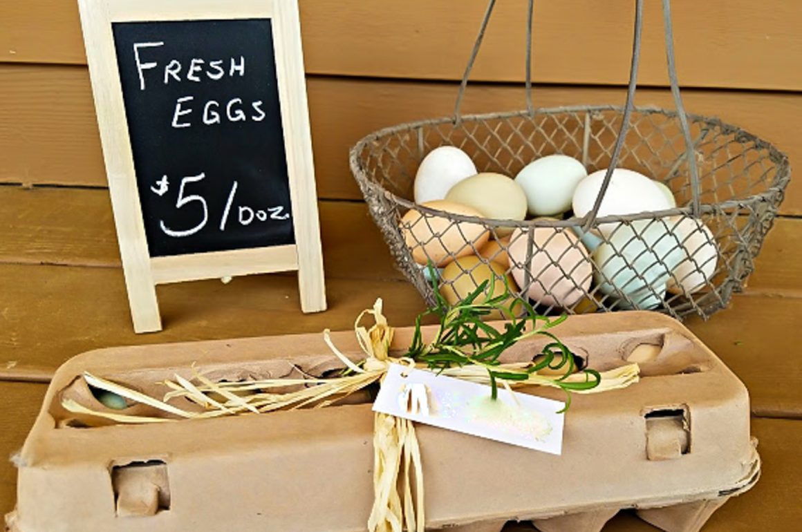 7 Tips to Help You Sell Your Farm Fresh Eggs For More Money Fresh